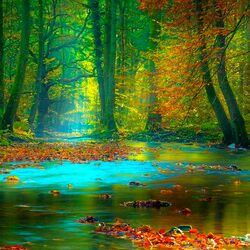 Jigsaw puzzle: Autumn forest