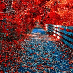 Jigsaw puzzle: Autumn red