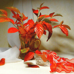 Jigsaw puzzle: Autumn is coming