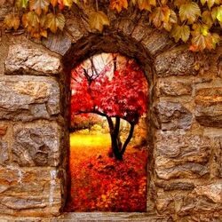Jigsaw puzzle: Window to autumn