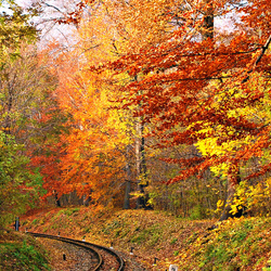 Jigsaw puzzle: Road to autumn