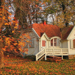 Jigsaw puzzle: House in the forest