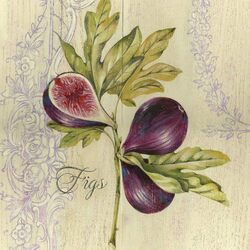Jigsaw puzzle: Fig