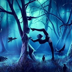 Jigsaw puzzle: In the dark forest