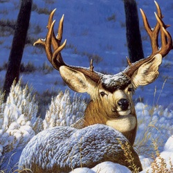 Jigsaw puzzle: Deer in the snow