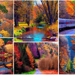 Jigsaw puzzle: In autumn