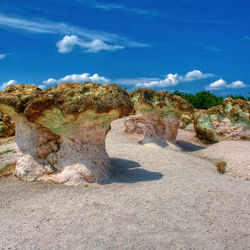 Jigsaw puzzle: Stone mushrooms