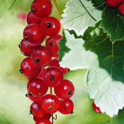 Jigsaw puzzle: Currant