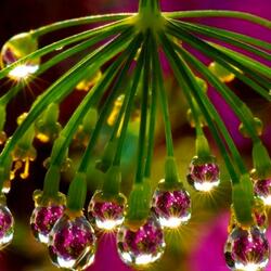 Jigsaw puzzle: Droplets