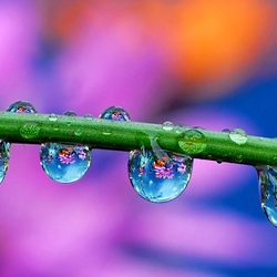 Jigsaw puzzle: Droplets
