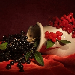 Jigsaw puzzle: Berry 