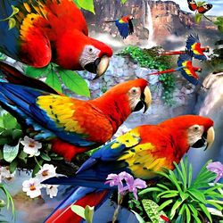 Jigsaw puzzle: Beautiful parrots