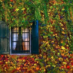 Jigsaw puzzle: Between summer and autumn