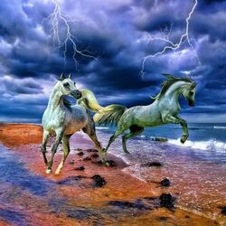 Jigsaw puzzle: Horses in a thunderstorm