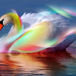 Jigsaw puzzle: Rainbow swan