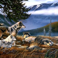 Jigsaw puzzle: Wolf hideout