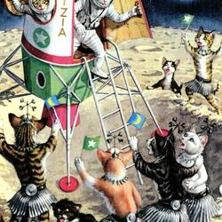 Jigsaw puzzle: Moon cats