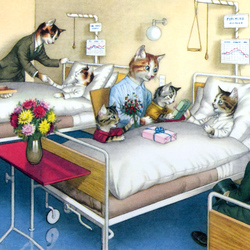 Jigsaw puzzle: Hospital visit