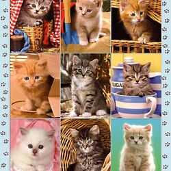 Jigsaw puzzle: Kittens