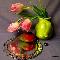 Jigsaw puzzle: Tulips and mangoes