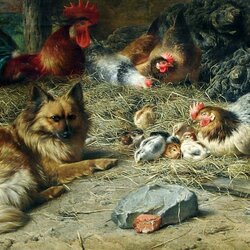 Jigsaw puzzle: Poultry yard