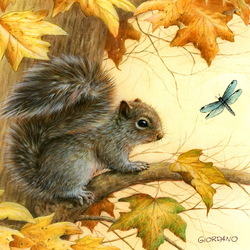 Jigsaw puzzle: Autumn squirrel