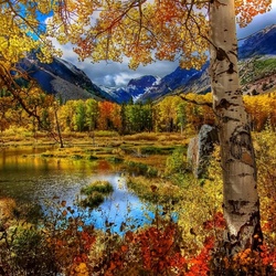 Jigsaw puzzle: Autumn forest