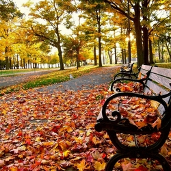 Jigsaw puzzle: Autumn in the park