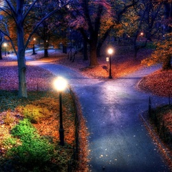 Jigsaw puzzle: Night in the park