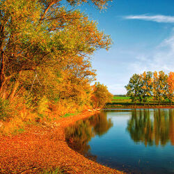 Jigsaw puzzle: Autumn by the river