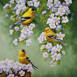 Jigsaw puzzle: Goldfinches on an apple branch