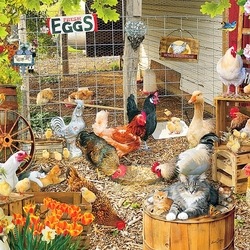 Jigsaw puzzle: Poultry