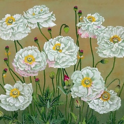 Jigsaw puzzle: White poppies
