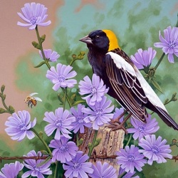 Jigsaw puzzle: Flowers and birds