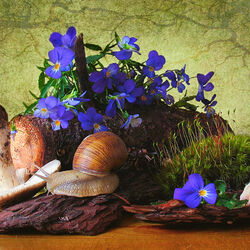 Jigsaw puzzle: Forest still life