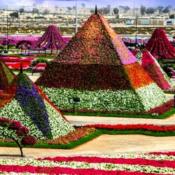 Jigsaw puzzle: Flower garden in Dubai