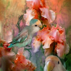 Jigsaw puzzle: Irises and parrots