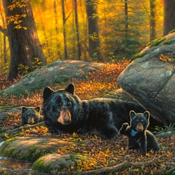 Jigsaw puzzle: Morning in the forest