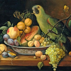 Jigsaw puzzle: Parrot lunch