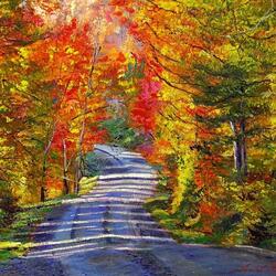Jigsaw puzzle: Autumn roads