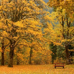 Jigsaw puzzle: Park bench in autumn