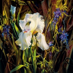Jigsaw puzzle: White iris