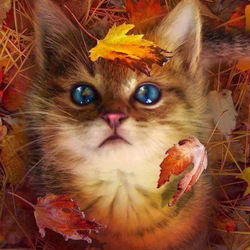 Jigsaw puzzle: Autumn cat