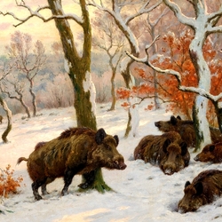 Jigsaw puzzle: Wild boars in winter