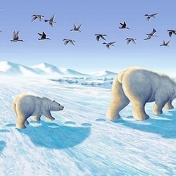 Jigsaw puzzle: Bears in the North