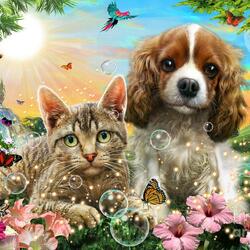 Jigsaw puzzle: Cat and dog