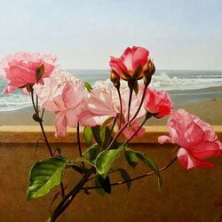 Jigsaw puzzle: Roses and sea