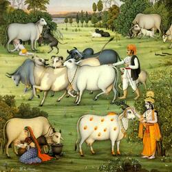 Jigsaw puzzle: Cows