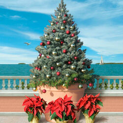 Jigsaw puzzle: Christmas tree on the embankment