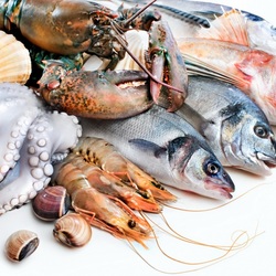 Jigsaw puzzle: Seafood